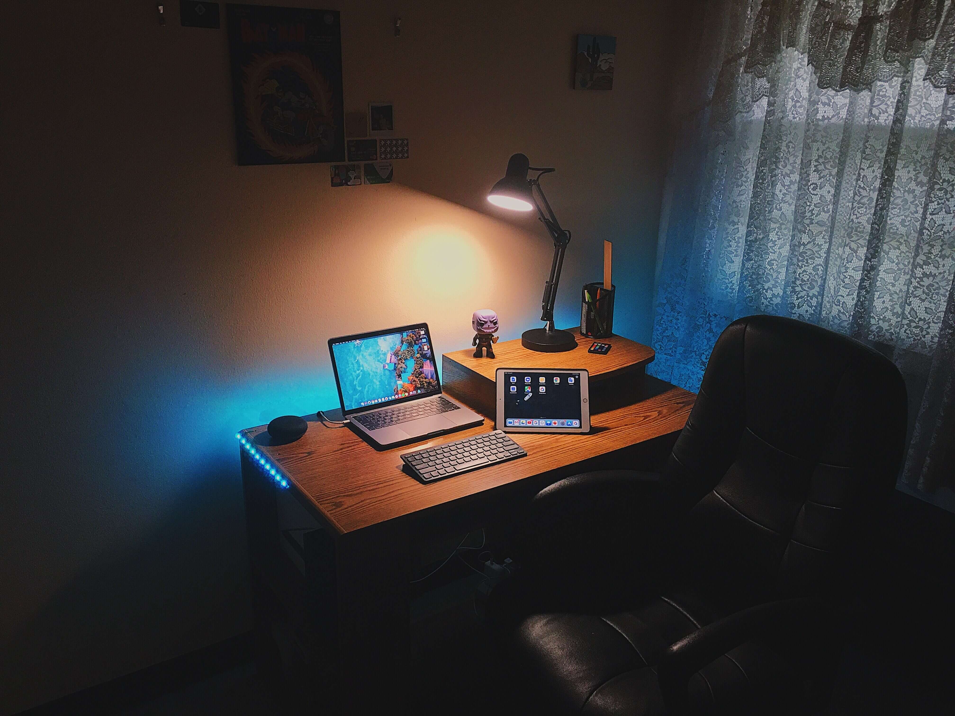 an-tran-3FMSMeG5QEk-unsplash